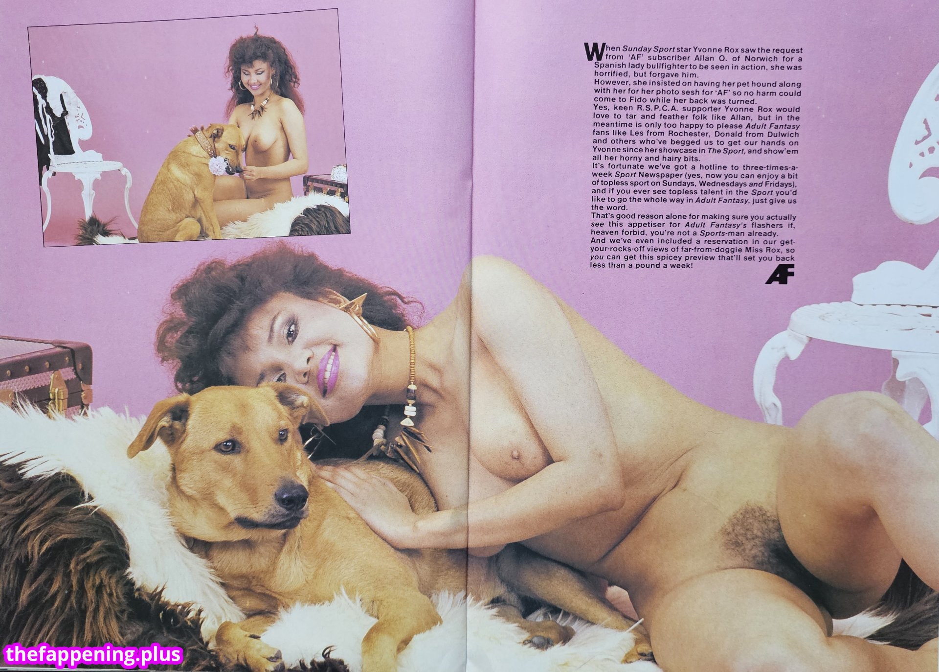 1980'S & Early 90'S Page 3 Girls / GlamourTeaJames / https: / mariawhittaker Photo OnlyFans Nu #320