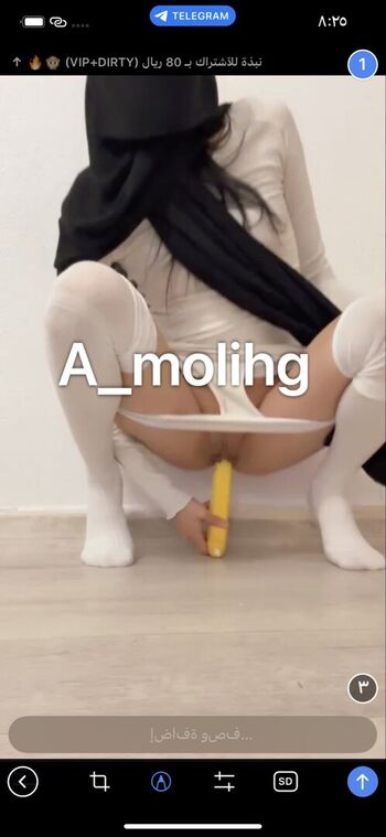 A_molihg
