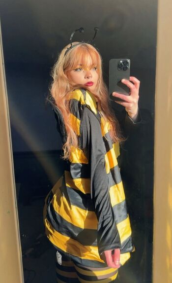 aiiygatorz