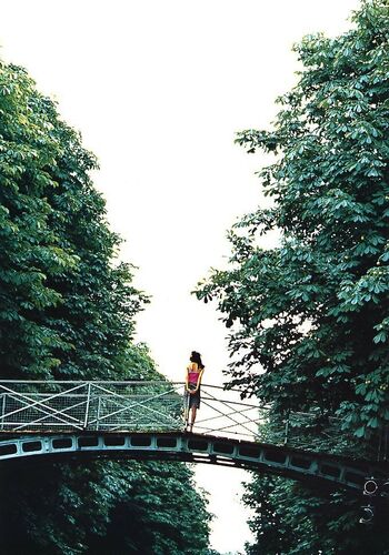 aiko sato