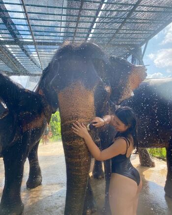Leaked Aila nerve private photo viral onlyfans