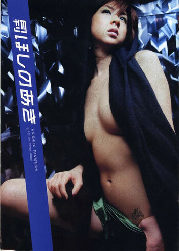 aki hoshino