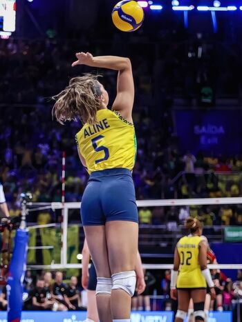 Aline Segato