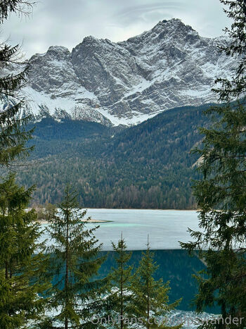 Alpswander