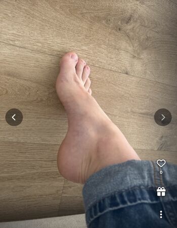 Anais22360
