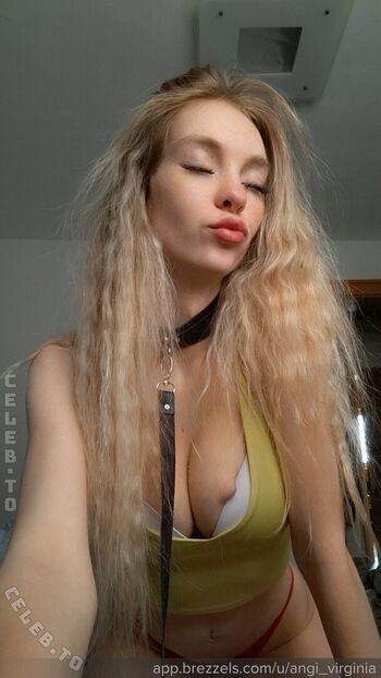 angi_virginia
