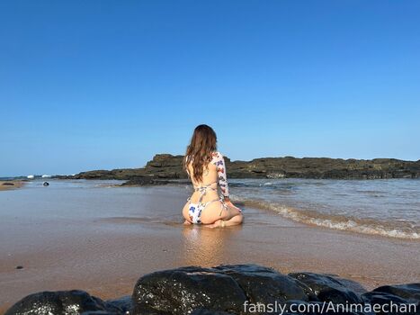 Animaechan