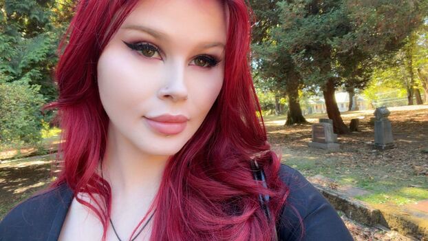 avasreddiary
