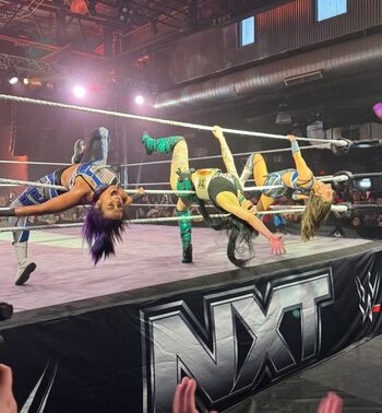 Leaked Bayley page private photo viral onlyfans