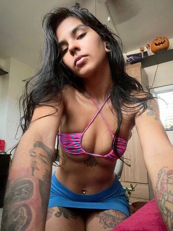 beyli.fox