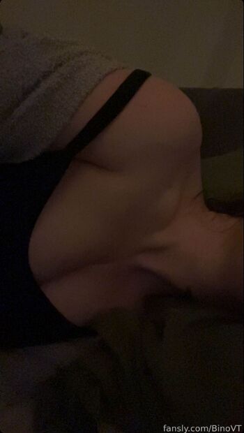 BinoVT