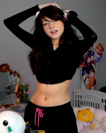 Bonnierabbit