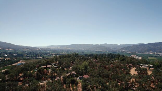 Leaked Brandi love  page private photo viral onlyfans