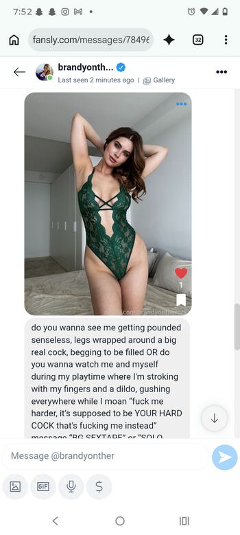 Brandygontherocks