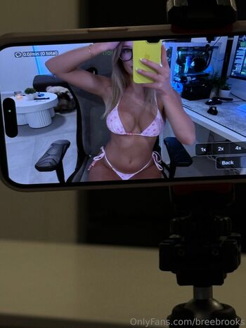 breebrooks
