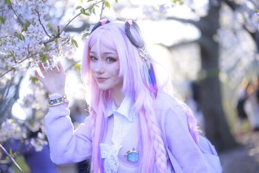 Celebi.cos