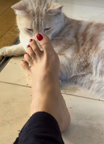 Celebrity Feet