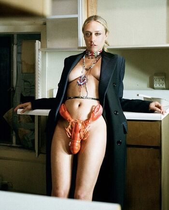 Chloe Sevigny