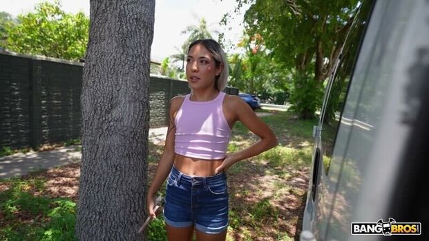 Cici Wild