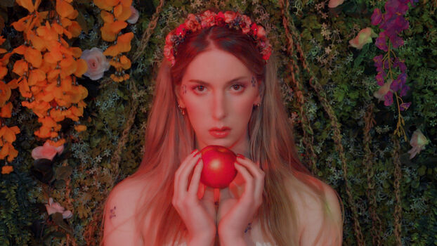 contrapoints