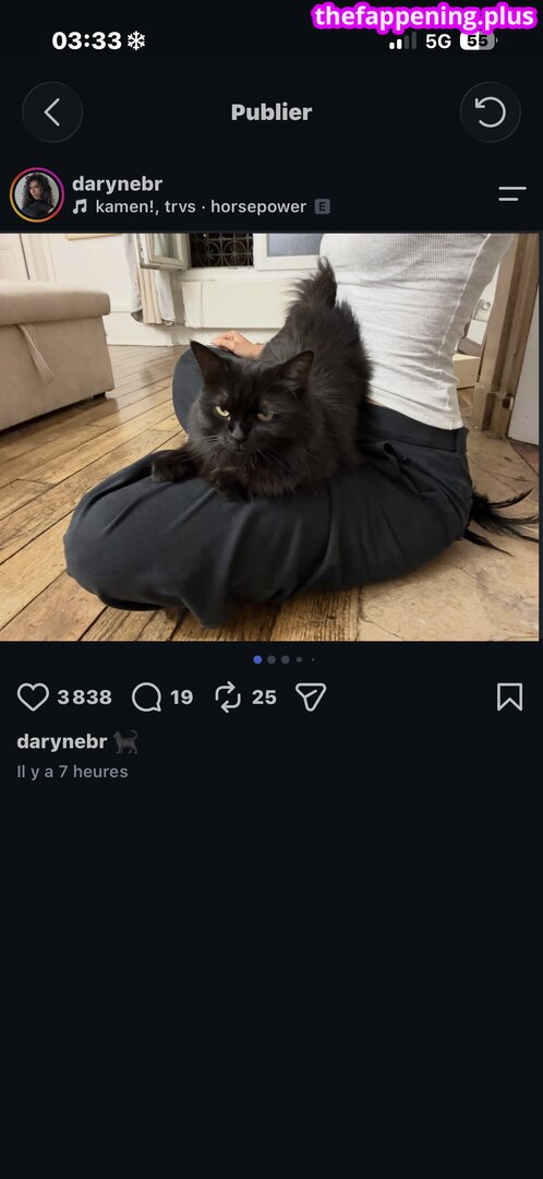 Darynebr