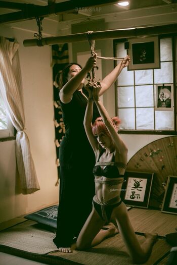Demibear