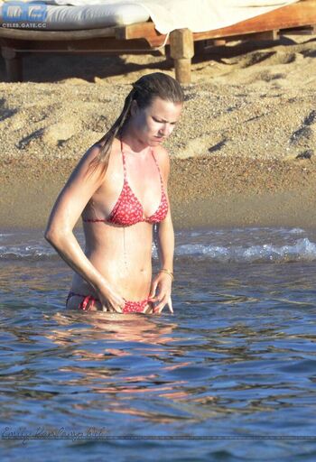 Emily VanCamp