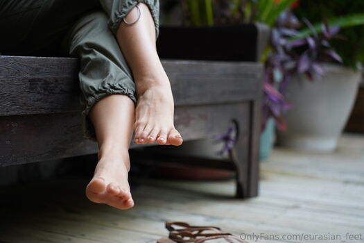 eurasian_feet