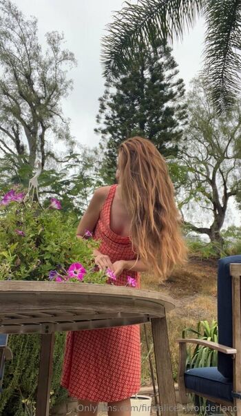 Findaliceinwonderland