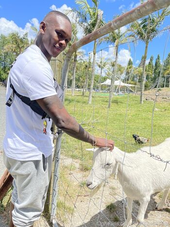 freestylebender