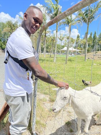 freestylebender
