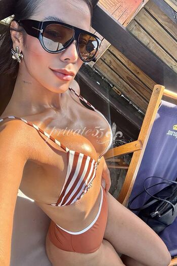 Gatas De Teresina Piauí