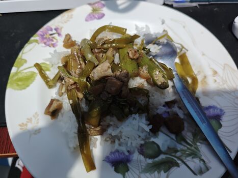 Leaked Giadierking private photo viral onlyfans