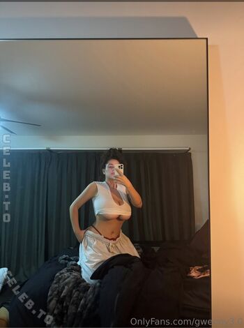 Gwenny3.0