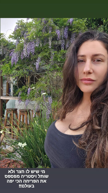 Hadar Simon