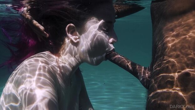 Haley Reed