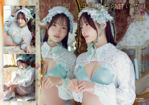 Hime Araya