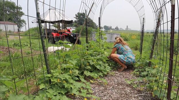 Honey Trail Farm