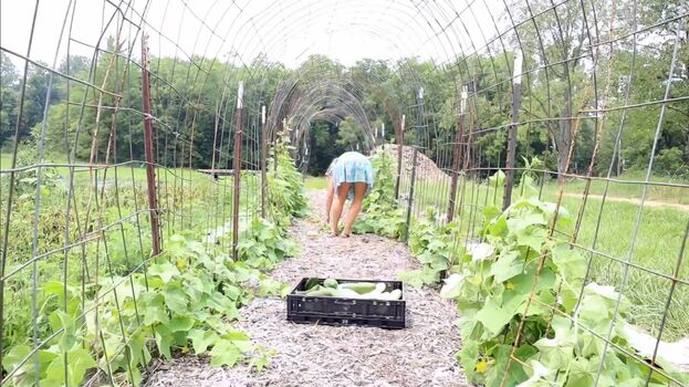 Honey Trail Farm