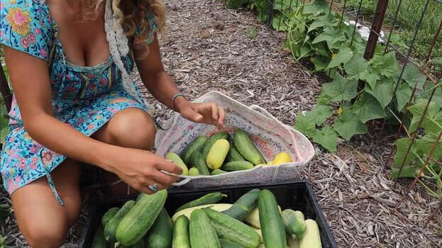 Honey Trail Farm