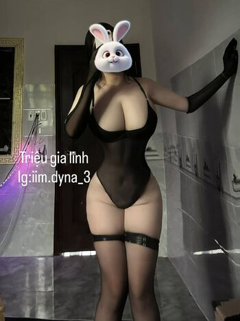 iim.dyna_3