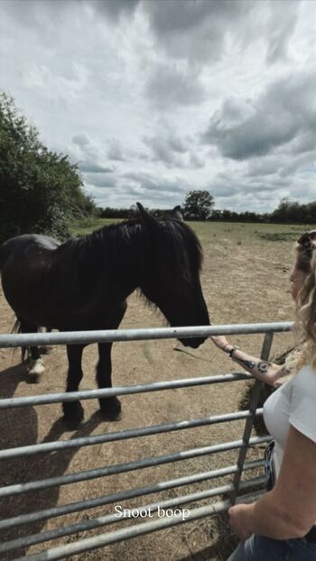 Leaked Janet devlin private photo viral onlyfans