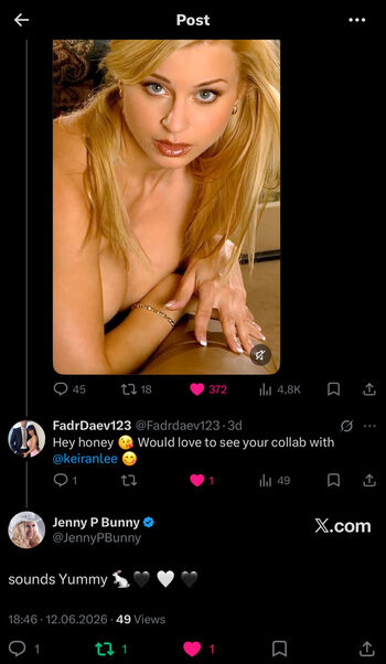 jenny_poussin_fan