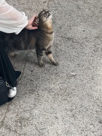 Leaked Danyancat / private photo viral onlyfans