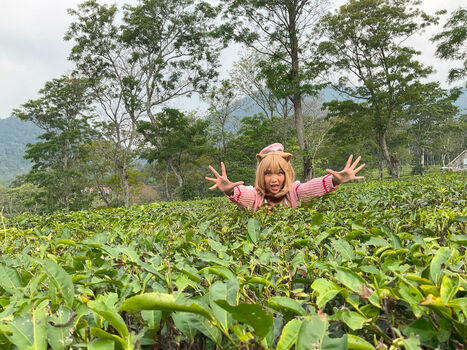 Karamelt