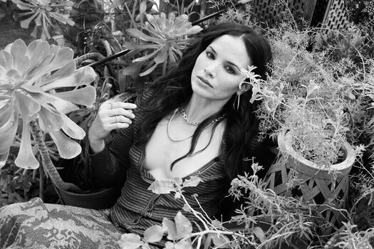 Katrina Law