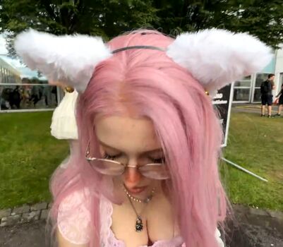 KDRkitten