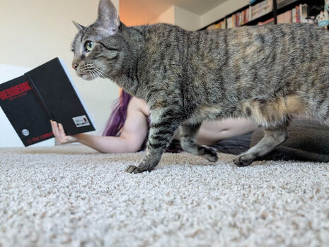 Leaked Kitty bit games page private photo viral onlyfans
