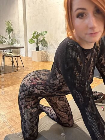 Kupferfuchs