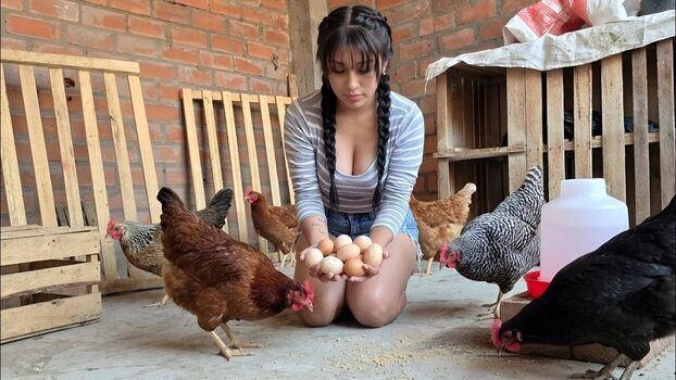 La Criadora De Gallinas